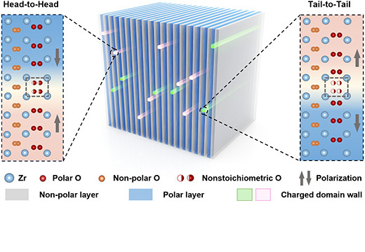 One-dimensional Charged Domain Walls Discovered in Fluori...
