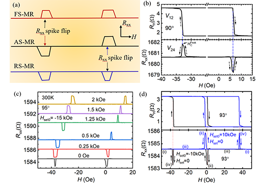 Field-Symmetry-Engineered Magnetotransport in Magnetic Ni...